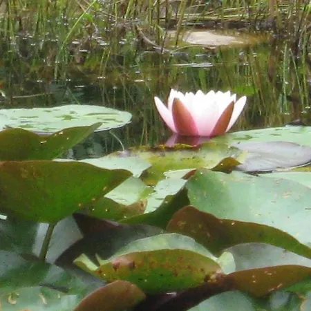 Doppelzimmer / Ederlust Heilungsraeume E.v. Bed and Breakfast Hatzfeld