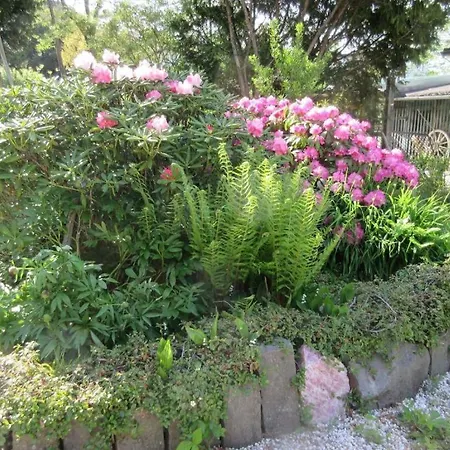 Bed and Breakfast Doppelzimmer / Ederlust Heilungsraeume E.v. Hatzfeld