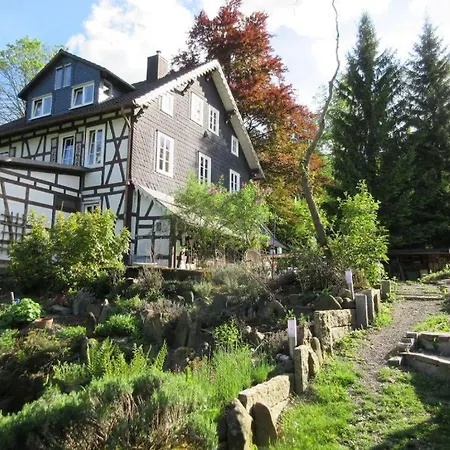 Doppelzimmer / Ederlust Heilungsraeume E.v. Bed and Breakfast Hatzfeld