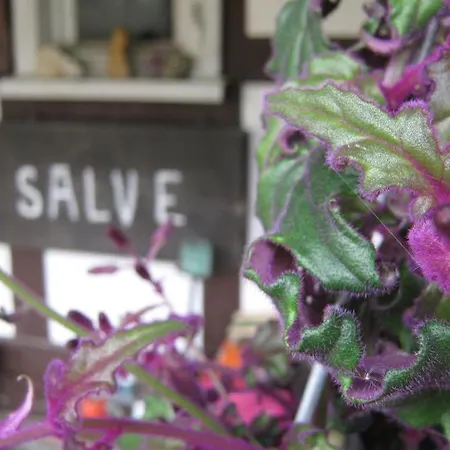 Bed and Breakfast Doppelzimmer / Ederlust Heilungsraeume E.v. 3*