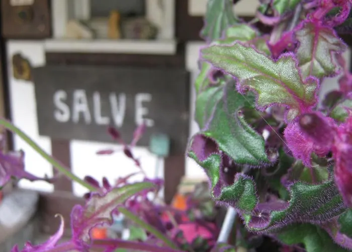 לינה וארוחת בוקר Doppelzimmer / Ederlust Heilungsraeume E.v. 3*